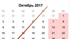 Come compilare il calcolo dei premi assicurativi: esempio Come compilare la sezione 3 premi assicurativi