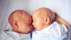 Perché sogni gemelli appena nati?
