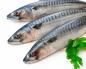 I benefici del pesce di fiume per l'uomo Proprietà utili del pesce per l'organismo